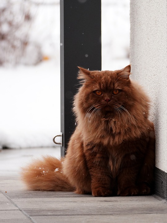 Polizei fasst britisches Betrügerpaar auf A1: Opfer gesucht!