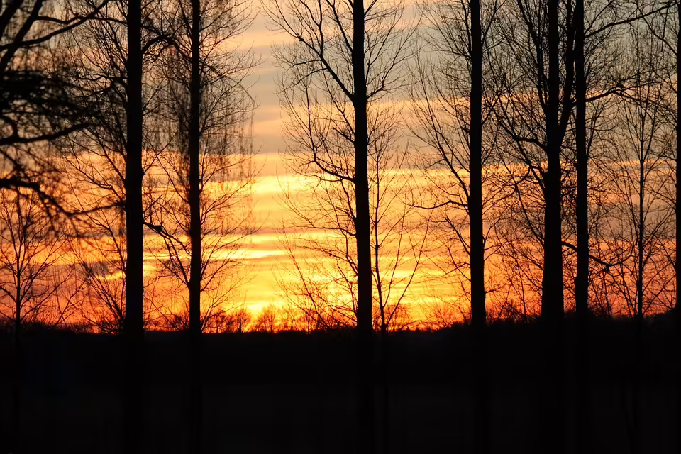 Polizeiinspektion Julius-Tandler-Platz zieht um: Neuer Standort ab 19. November