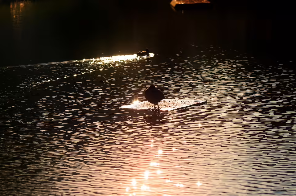 Polycab gewinnt Großauftrag von BSNL: Einblick in die Vertragsdetails