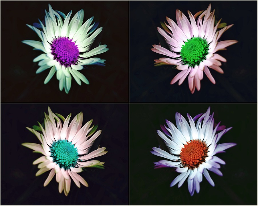 Pop-Art im Stift Reichersberg: Kiki Kogelniks Werke sind da!