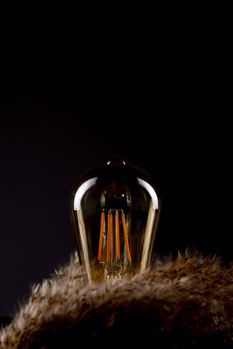 Pplace: Die innovative App für stressfreies Parkplatzfinden