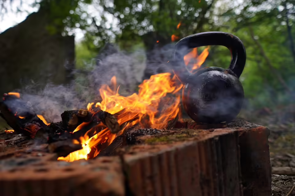 Prozess um Tierquälerei: Allgäuer Landwirte wehren sich gegen Vorwürfe