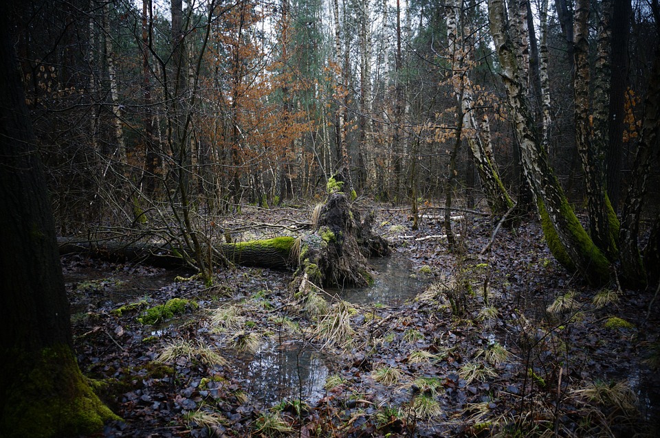 Prozess um sexuellen Missbrauch: 17-Jähriger vor Gericht in Wien