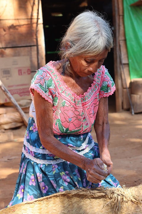 Regionale Höchstqualität: Linzer Betriebe erhalten Auszeichnung  Gutes vom Bauernhof