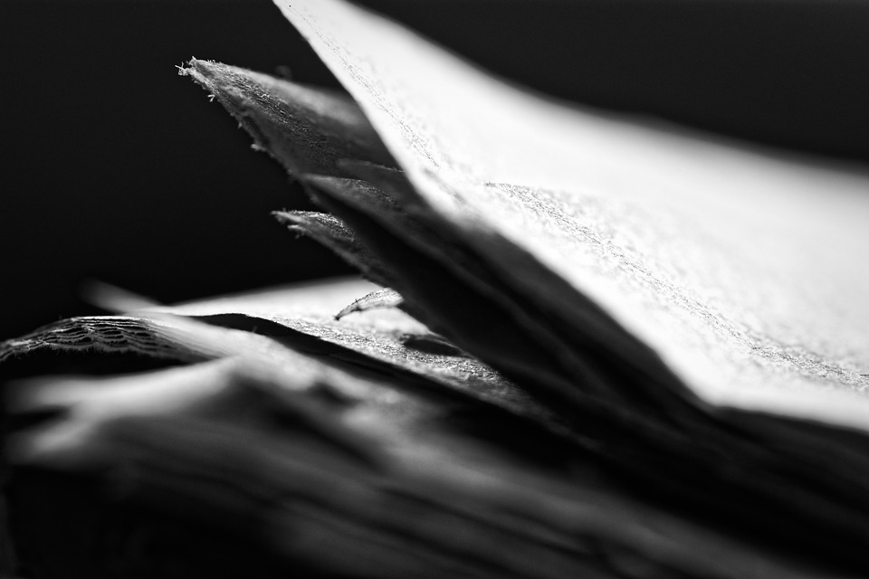 Rekordversteigerungen in Wien: Oppenheimer und Jungwirth im Fokus