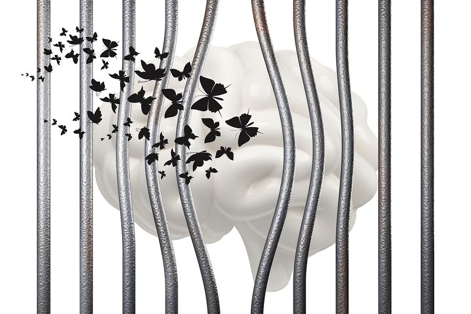 Rettungseinsatz in Reiterndorf: Feuerwehr befreit in Not Geratenen