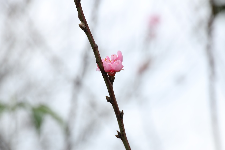 Reutte übernimmt Jagdmanagement: Neue Wege für die Wildbewirtschaftung