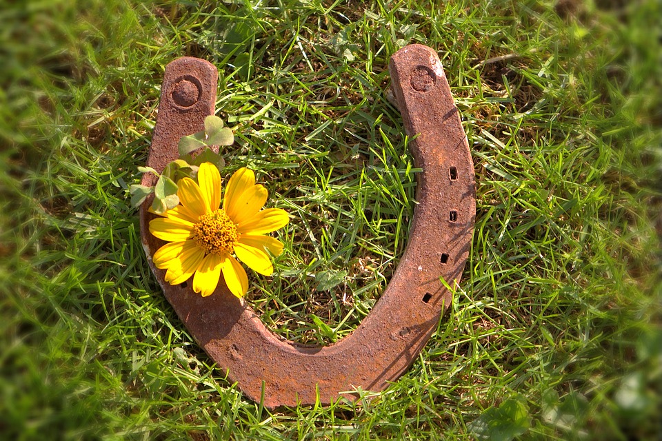 Reuttens Chancen für Quereinsteiger im Fremdenverkehr: Ein Blick auf neue Möglichkeiten