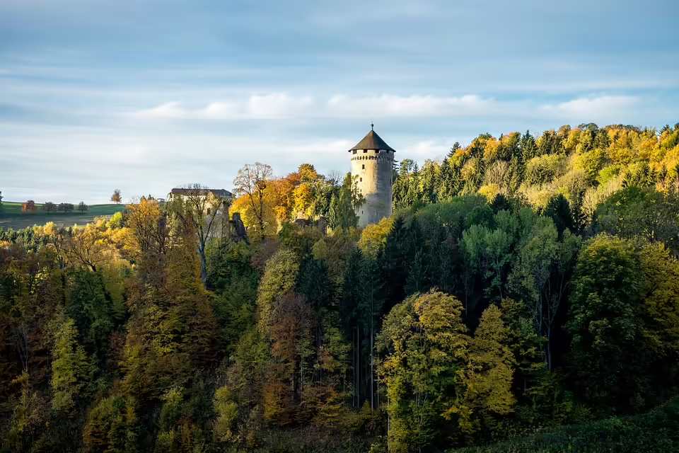 Riesen-Parasol im Mühlviertel: Ein außergewöhnlicher Fund!