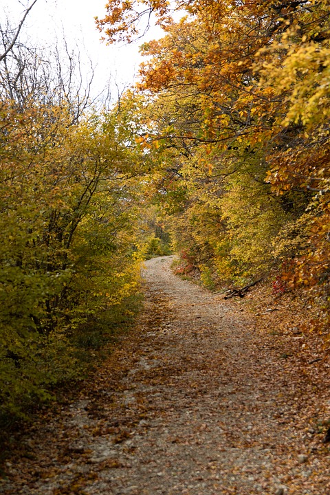 Russland feuert Kommandeur für falsche Kriegsfortschrittsberichte