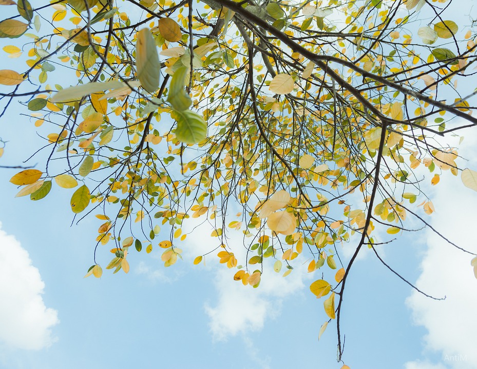 SC Lilienfeld: Erfolgreiche Herbstsaison und Pläne für die Rückrunde