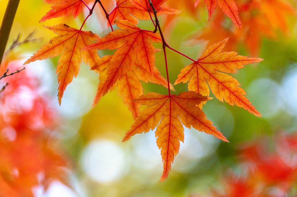 SC Stainz: Erfolgreiche Rückkehr in die Herbstsaison 2023