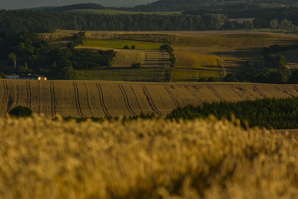 SPÖ Velden wählt Gerd Kurath: Aufbruch in neue politische Zeiten