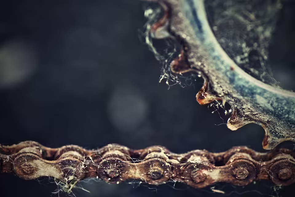 SV Rust entfesselt sich: Überzeugender 4:0-Sieg in Hadersdorf