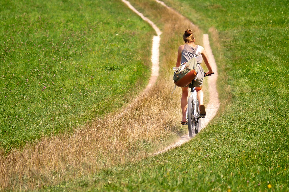 Salzach-Neugestaltung: Hochwasserschutz und Radwege im Fokus