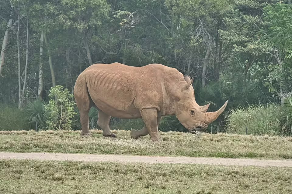 Scharnitz: Gefährliche Eisenbahnkreuzung sorgt für Sicherheitssorgen