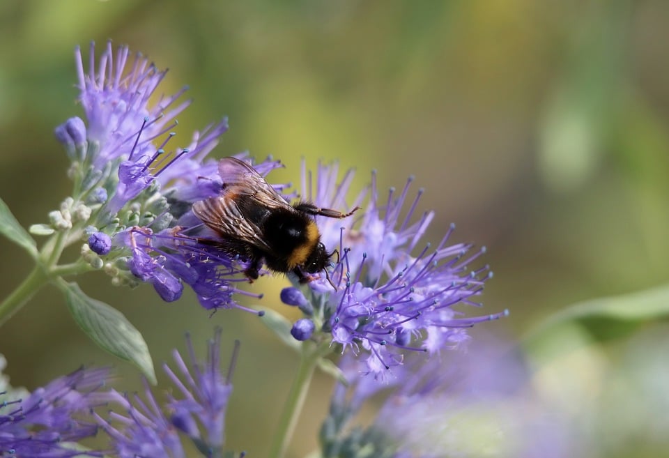 Schattenorte Salzburg: Dunkle Kapitel unserer Geschichte beleuchtet