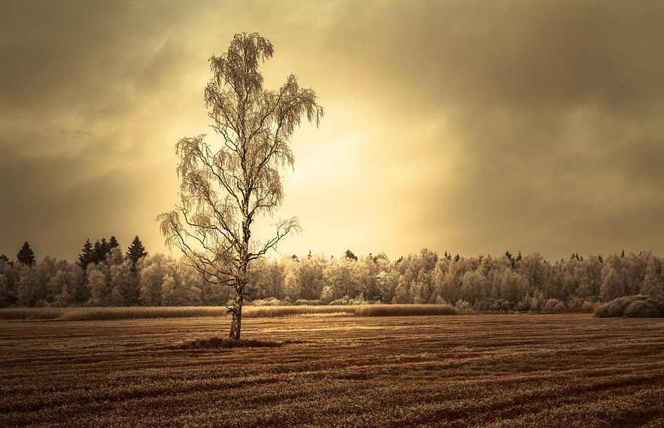 Schlechte Nachrichten für die Ukraine, auch Russland steht unter Druck