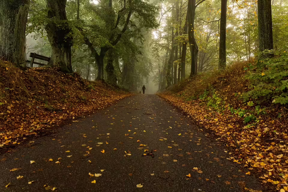 Schlossgasse: Neue barrierefreie Wohnungen für unsere Gemeinschaft