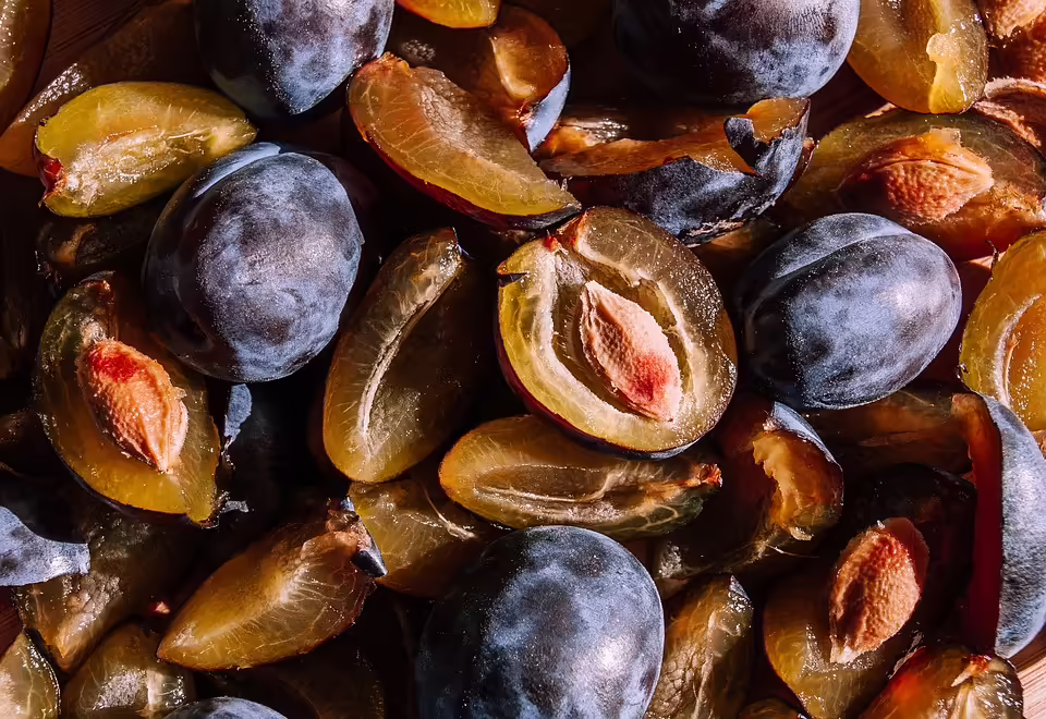 Schmollhube in Leoben: Frische Küche und Social Media begeistern Fans