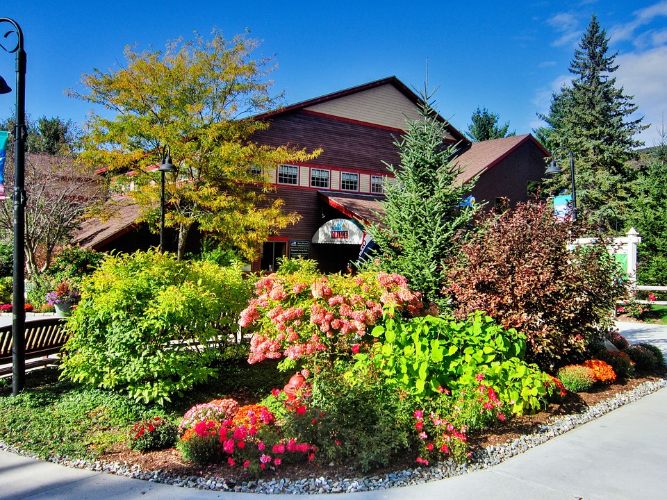 Schmuggler mit 300 Taranteln am Körper festgenommen