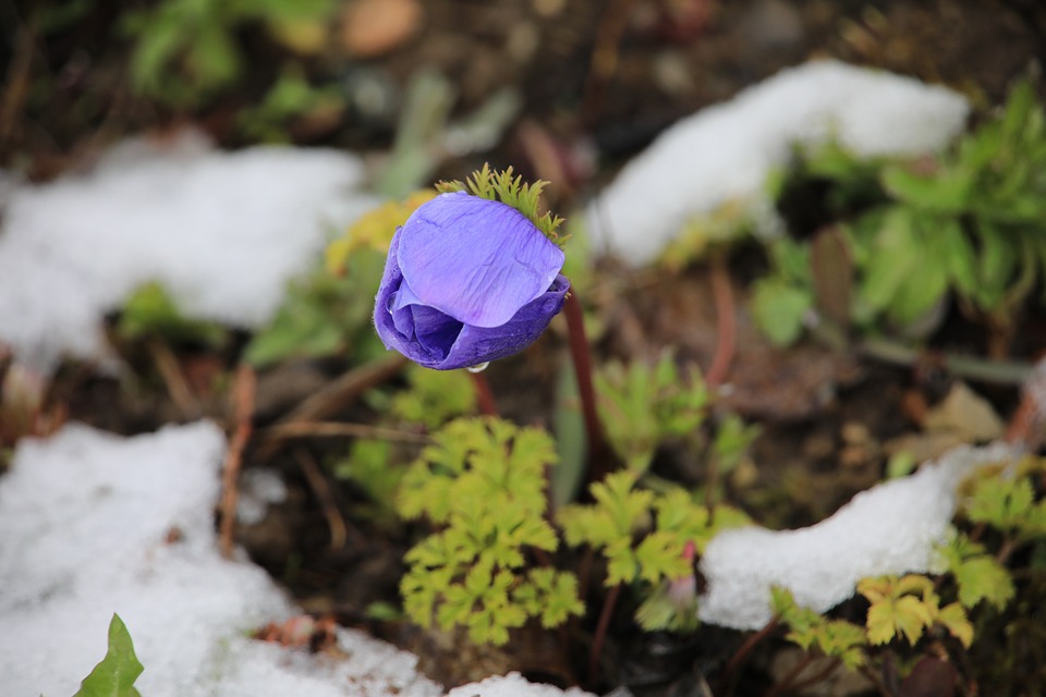 Schnee-Test auf der A2: Wintereinbruch ohne Zwischenfälle erfolgreich meistern