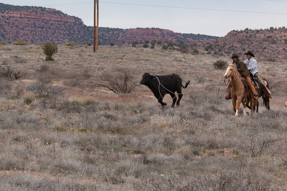 Schwerer Unfall auf der B133: Fahrer in Krankenhaus eingeliefert