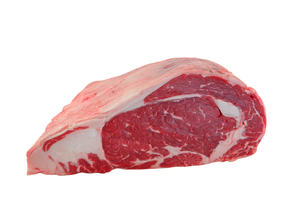 Seltene Kalbin bereichert die Landwirtschaftliche Fachschule Hollabrunn