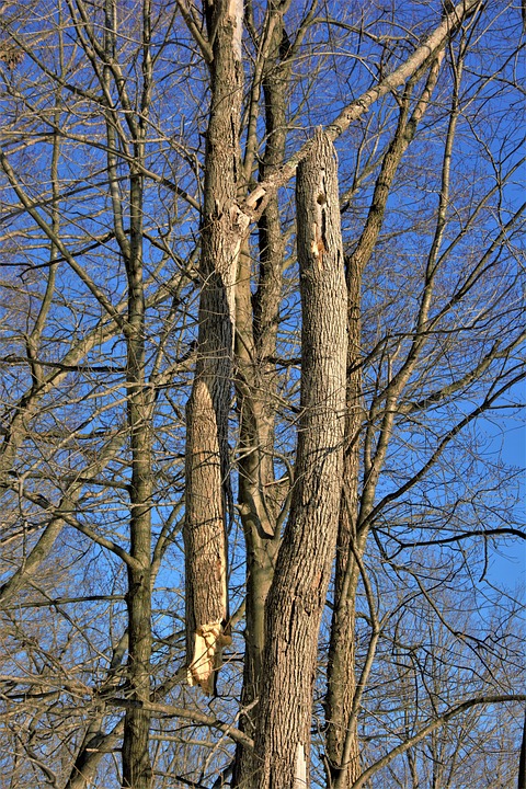 Seniorsprechtage in Kirchdorf und Windischgarsten: Ihre Fragen, unsere Antworten!