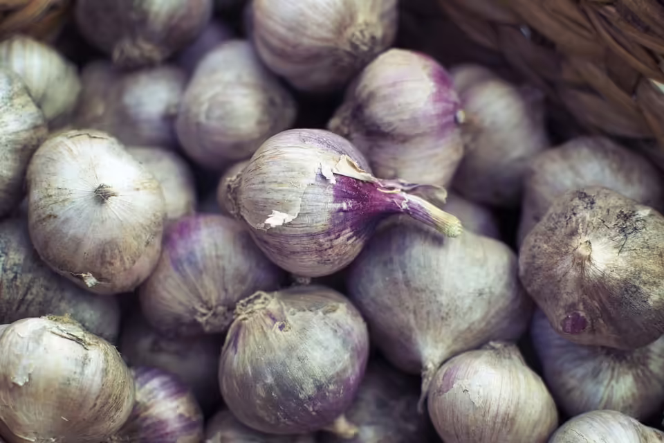 Sensation in Öblarn: VÖEST Linz sichert sich ersten Titel in der Damen-Bundesliga