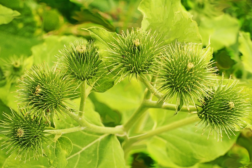 Sicher durch die Adventzeit: Polizei verstärkt Präsenz auf Märkten