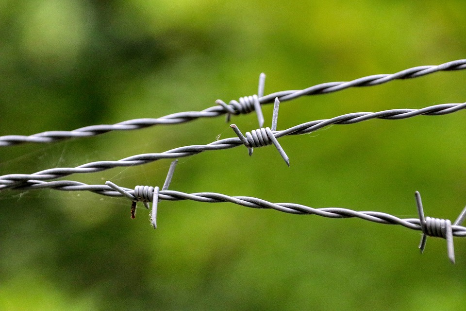 Sicherheit für Lienz: Neues Konzept zur Hochwasserprävention vorgestellt