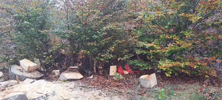 Skandal in Johanniskreuz: Unbekannte zerstören Betzi-Figur mit Kettensäge!