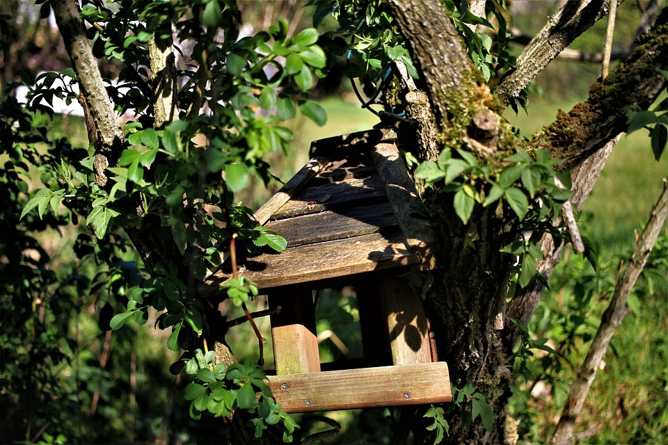 Skandal und Tierschutz: Die neuesten Nachrichten aus der Steiermark