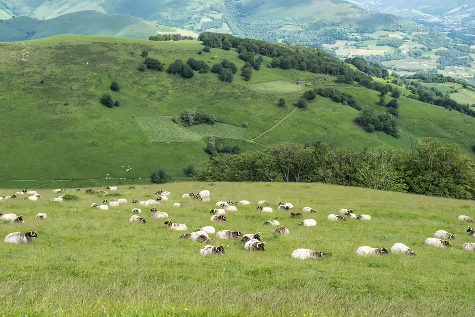 Solidaritätspreis 2024: Kirchdorf-Kakonko setzt Zeichen für Behinderung