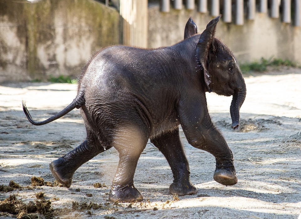 Spannendes Duell: Schönbrunn trifft auf Floridsdorf im Tabelle-Rennen