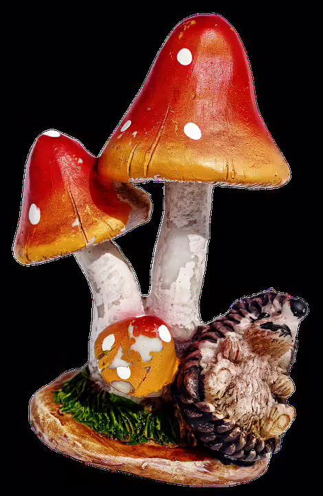 Spaßige Puzzleshow-Panne: Connecticut-Teilnehmer sorgt für Lacher