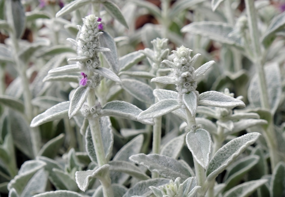 Special Olympics: Oberwart feiert besondere Athleten im Floorball