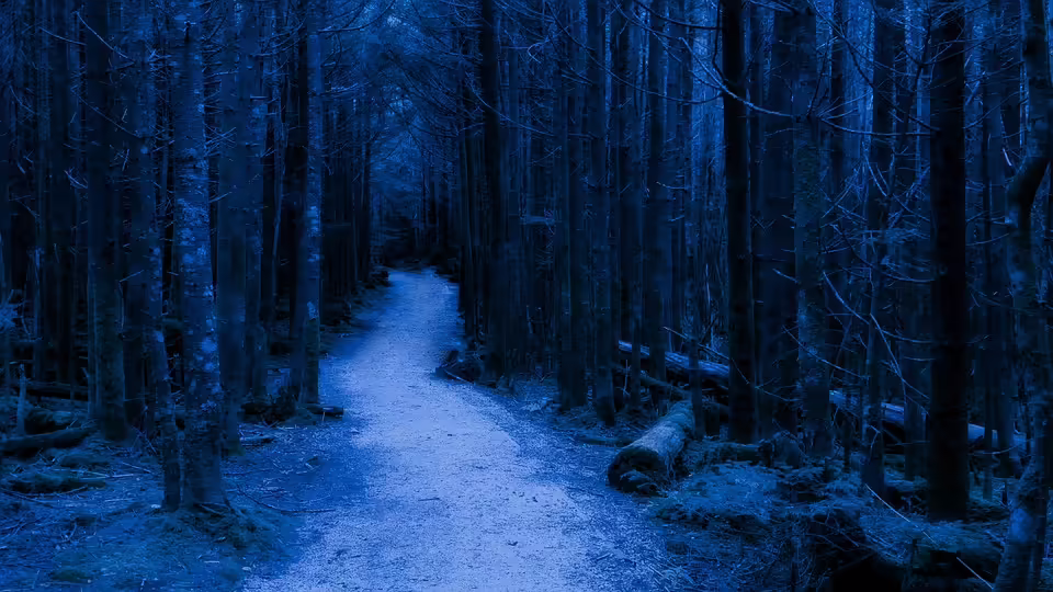 Spooky Spaß: Halloween-Feier für Kinder auf Burg Obervoitsberg