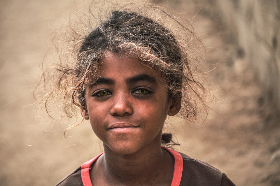 Stadtfriedhof Freistadt: Auszeichnung als grüne Oase für Umweltschutz
