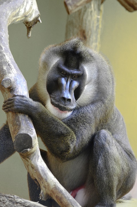 Starkes Trainer-Team: Erste Hilfe in Deutschlandsberg auf neuestem Stand