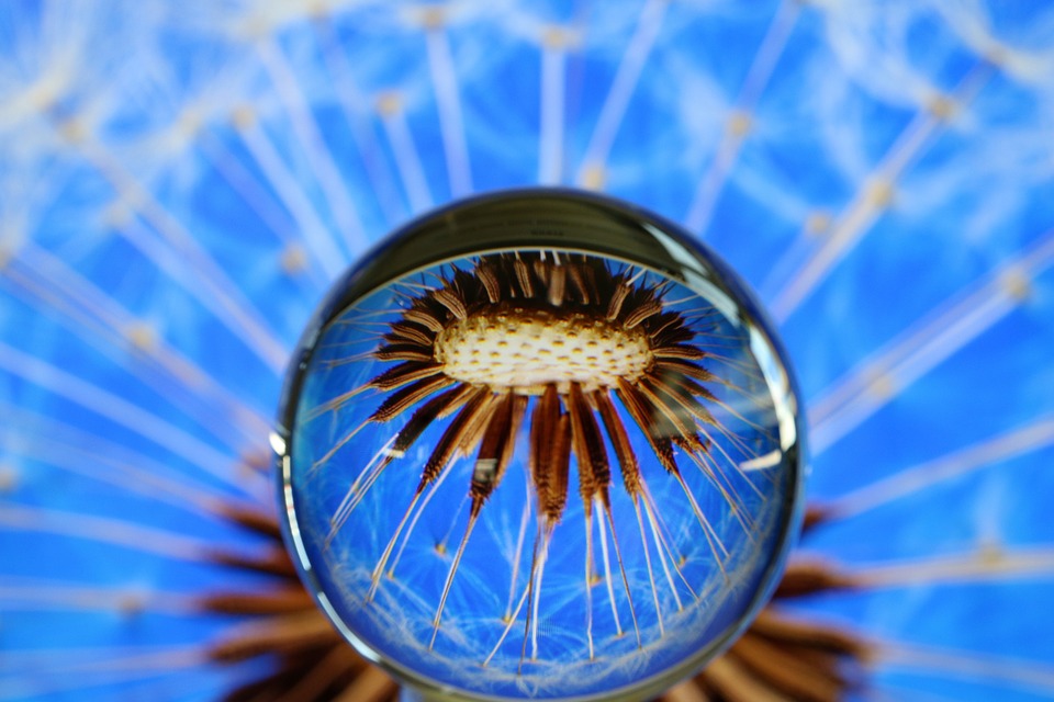 Steiermark wählt: Neun Parteien kämpfen um die Landesherrschaft