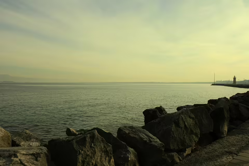 Steyrerin führt größte Yogaschule Oberösterreichs aus den USA