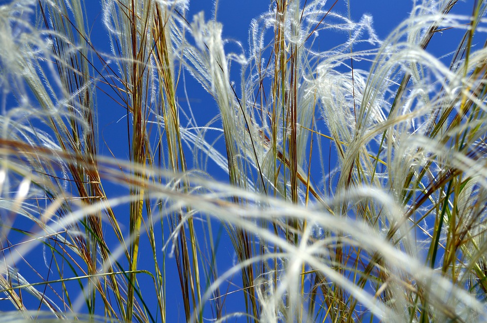Stipo Petrovic: Spitzen-Talent der NWZ rückt in Landesliga-Mannschaft auf