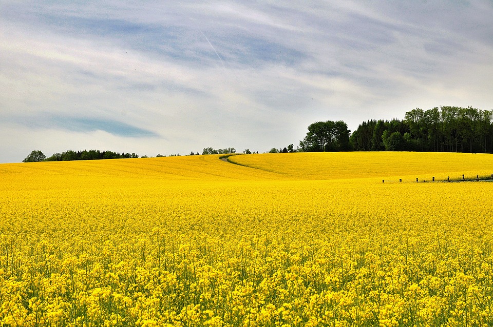 Strahlend blauer Himmel: Ein perfekter Ausflugstag in Villach