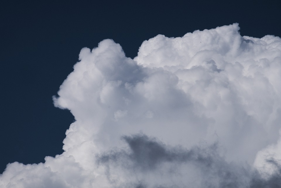 Sturm Graz: Michael Parensen übernimmt als neuer Geschäftsführer Sport