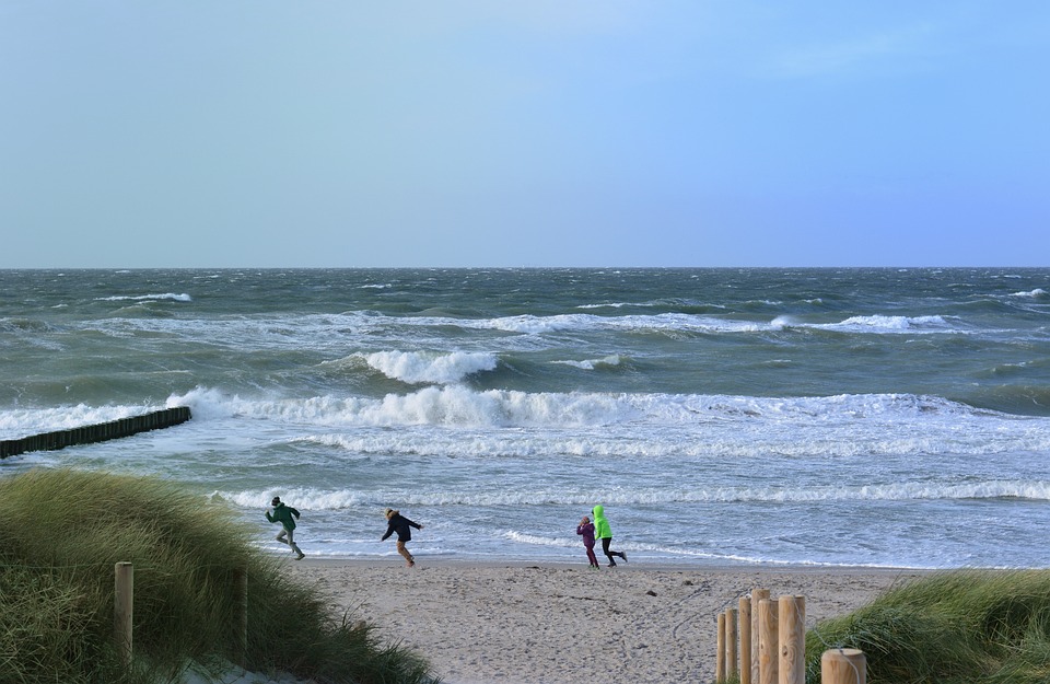 Sturm Graz feiert historisches 1:0 in der UEFA Champions League
