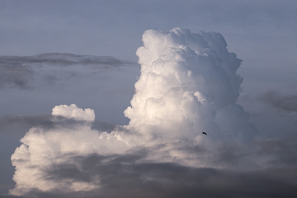 Sturm der Erneuerung: Kickl bringt frischen Wind in die Politik