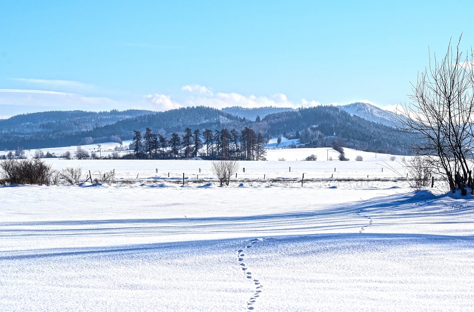 Sturmwarnung und Schnee: Das Wetter in Steyr für die KW 47