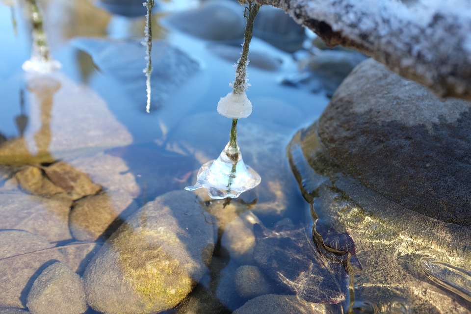 Suppenbrunch für den guten Zweck: Traisen hilft mit Genuss